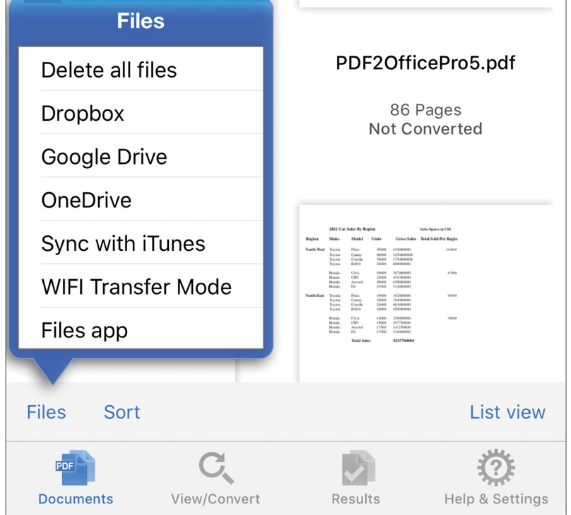 open a PDF file